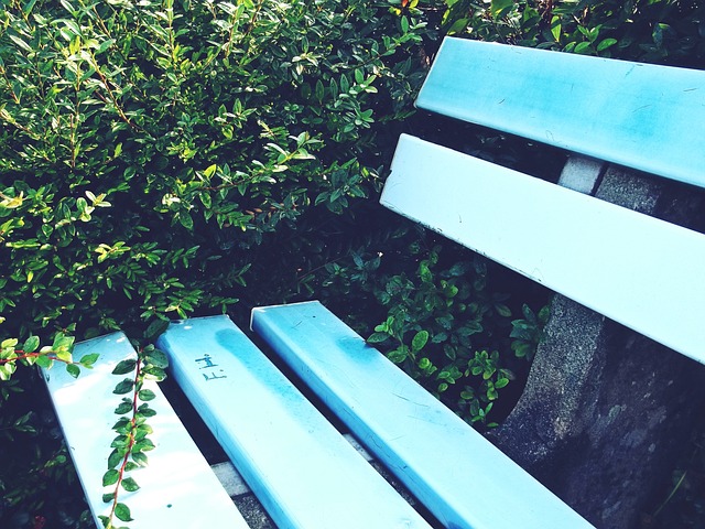 这是真爱，一阿根廷球迷带了50美元，一路搭顺风车去巴西客场