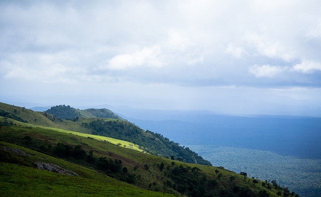 展示了非凡 展示了非凡