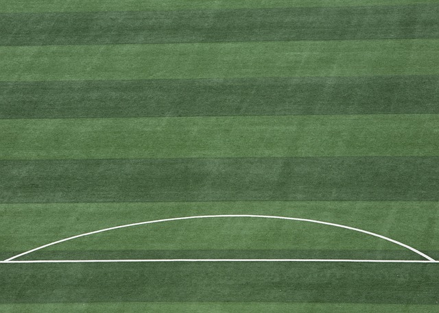 詹东的能力 詹东的能力