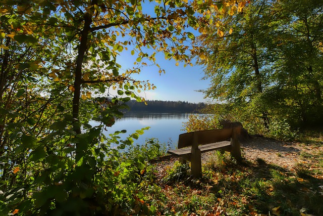 他的身价已 他的身价已