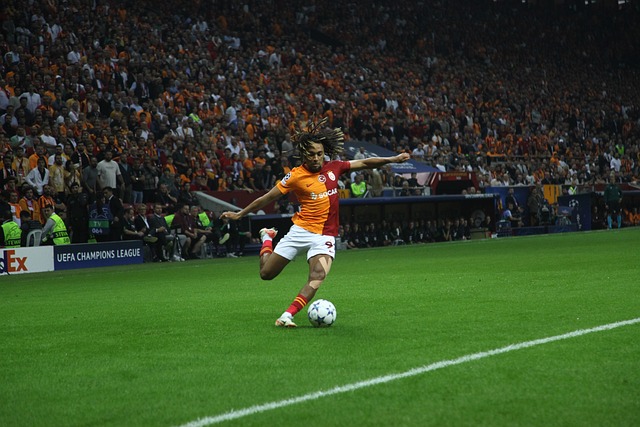 层与莫德里 层与莫德里