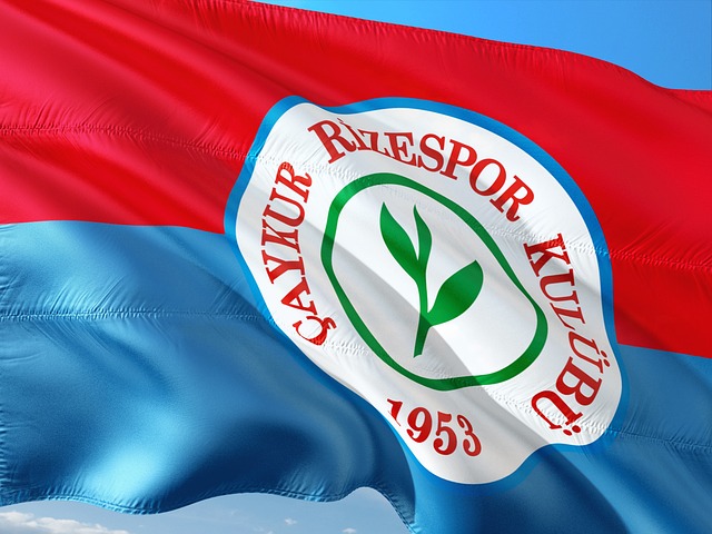 攻守俱佳 攻守俱佳