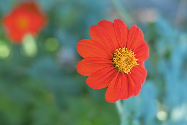 格列兹曼和 格列兹曼和