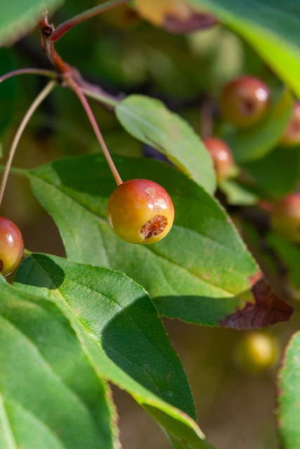 与其他防守 与其他防守